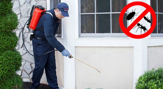 Aslanapa Gümüşkurt İlaçlama böcek ilaçlama ve haşere kontrolü — ilaclama-tr.com